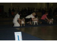 IMG_9613.JPG
