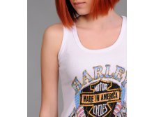 2464 -   Harley -1.jpg
