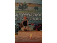 28.04.2014 16:38:50