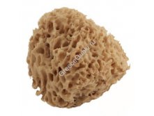 Морская губка неотбеленная