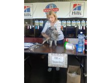 20140518_124339.jpg