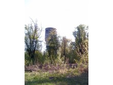 IMG_20130512_175403.jpg
