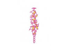 Flame Bra Fuchsia.-