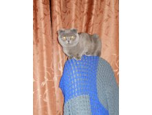26.05.2010 23:34:53
