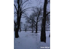 20.12.2007 21:20:38