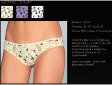 L*B 590, 120 