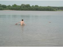 31.05.2010 8:16:39