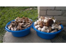 27082012851.jpg