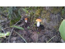 27082012847.jpg
