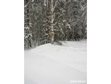 02.02.2008 21:59:47