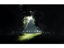 01156_darknesstolight_2560x1600.jpg