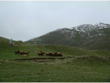   . 05.06.2010 22:59:42