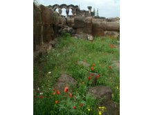   . 06.06.2010 10:10:03