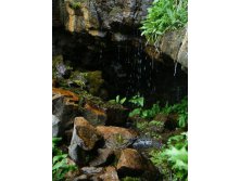   . 06.06.2010 10:13:20