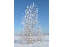 IMG_0603.JPG