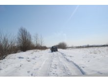 DSC_0183.jpg