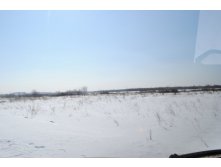 DSC_0184.jpg
