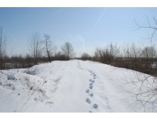 DSC_0192.jpg
