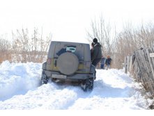 DSC_0339.jpg