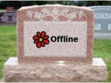 .jpg