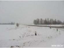 дорога )