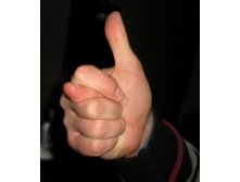 .jpg