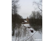 10.03.2008 16:38:54