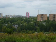 P1050034.JPG