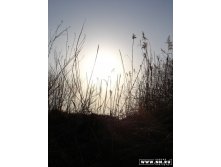 DSC07398