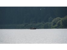 IMG_4659.JPG