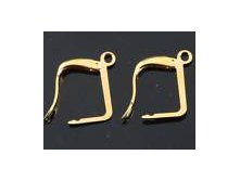 golden plated france earring hooks.jpg