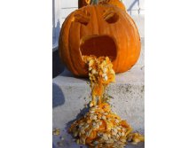 pumpkin.jpg