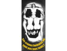 skull2.jpg