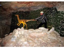 А вроде они хвост отбрасывают...