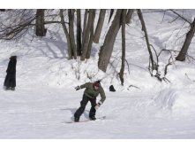 IMG_8950.JPG