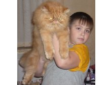 С братом