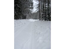 IMG_0721.JPG