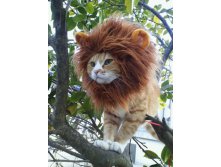 __20A_20THE_20LION_20KING_1_.jpg