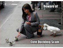 funny-pictures-7.jpg