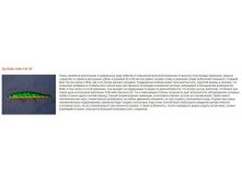 Zip Baits Orbit 110 SP.jpg