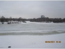 IMG_4034.JPG