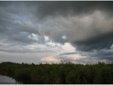 IMG_1395.jpg