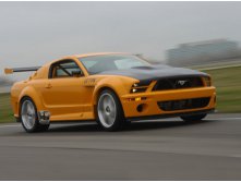 Yellow_Mustang_XL.jpg