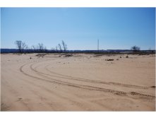 DSC_6963.jpg