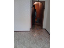 -0017.jpg