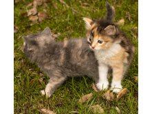_DSC0588мин.jpg