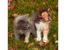 _DSC0589мин.jpg