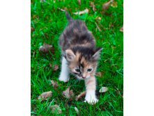 _DSC0591мин.jpg