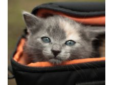 _DSC0601мин.jpg