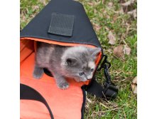 _DSC0613мин.jpg